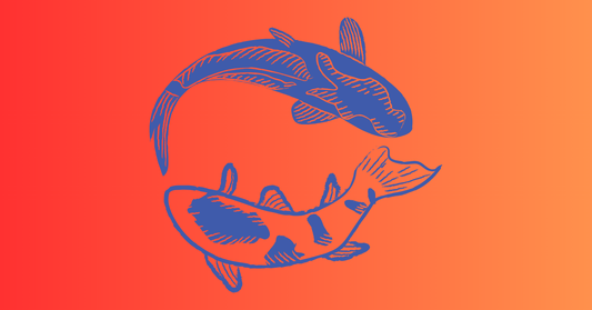 Blue koi fish swimming on gradient orange background, featured image for umi cycle menstrual disc blog